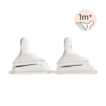 Load image into Gallery viewer, Hegen Teat Slow Flow, 2-Pack